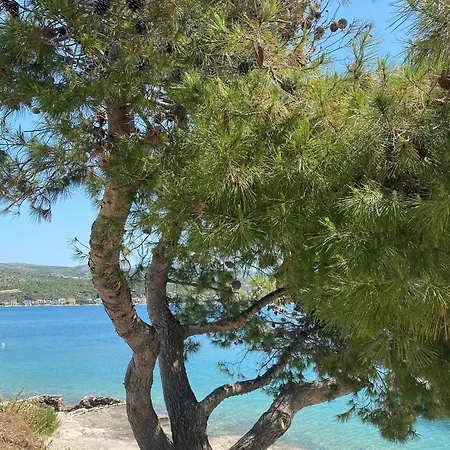 Seaside Family Friendly House With A Swimming Pool - 25216 Рогозница